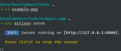 Start Laravel server